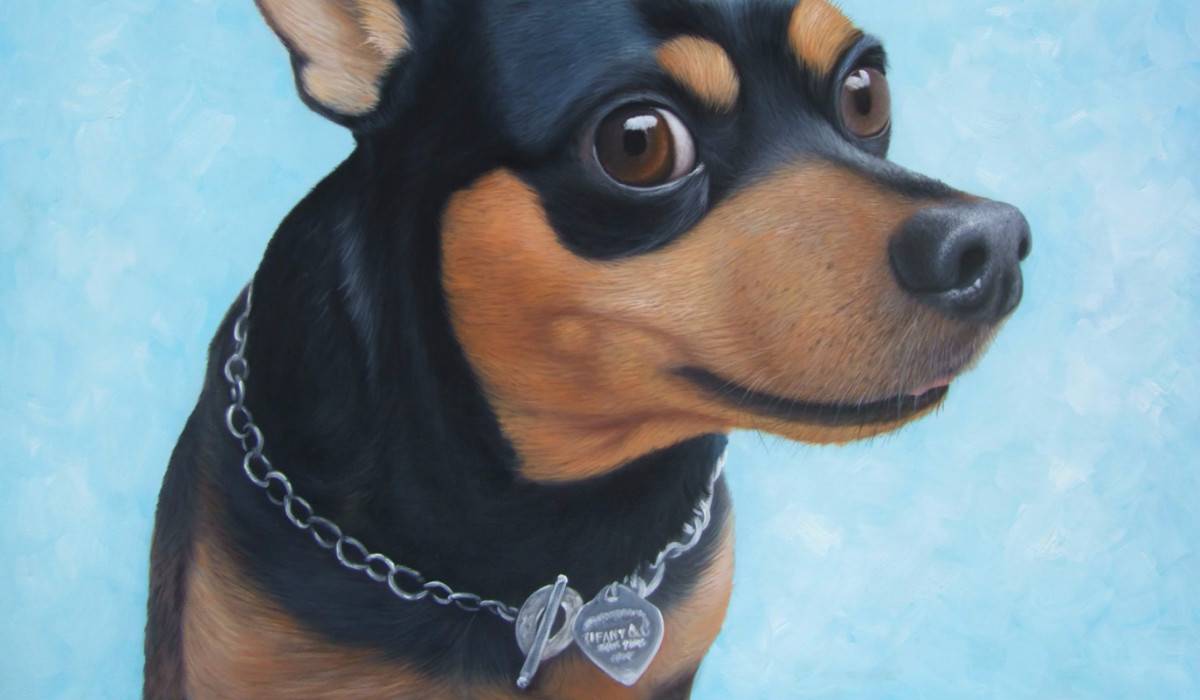 Portraits d'animaux