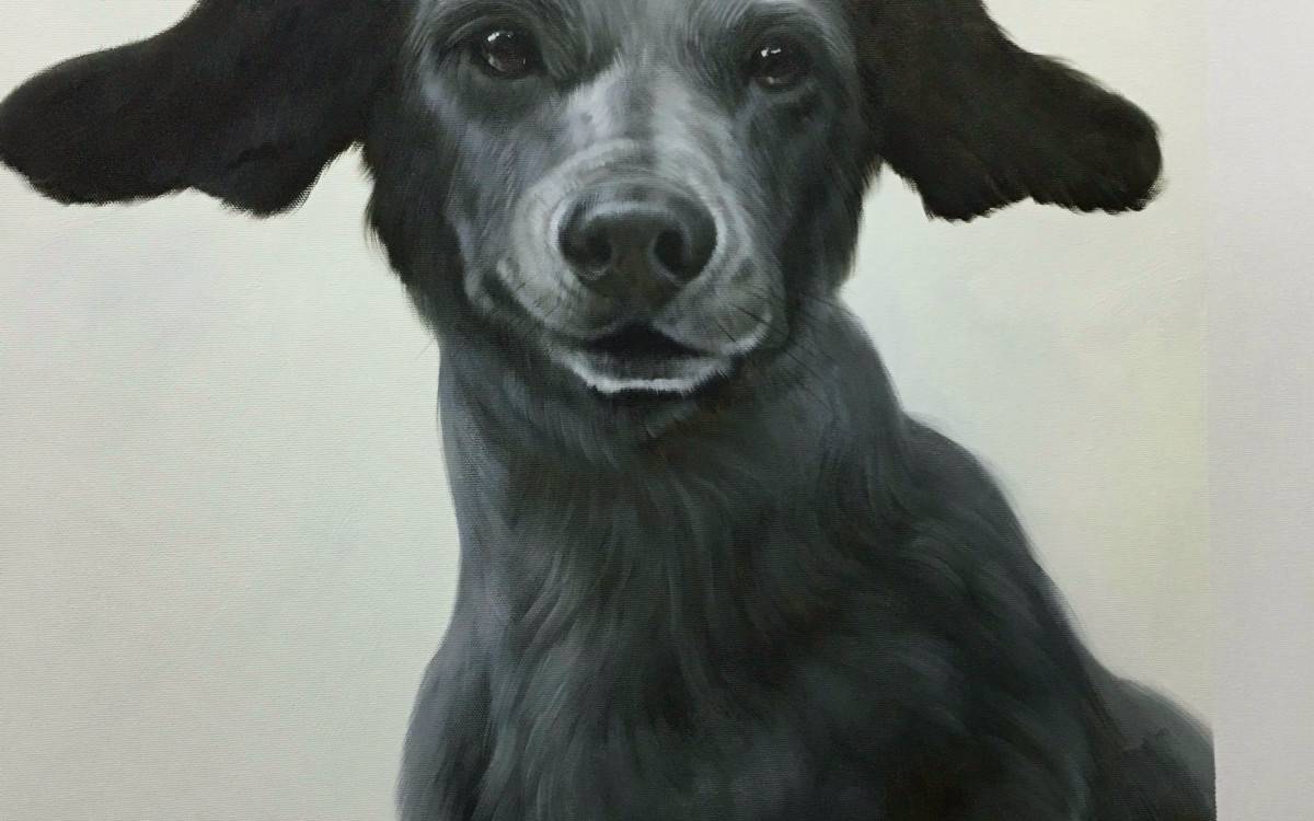 Peintures de Chiens