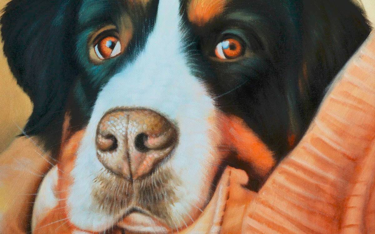 Dessins de Chiens