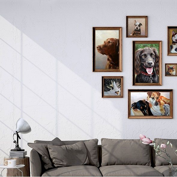Vérifiez notre galerie d'animaux
